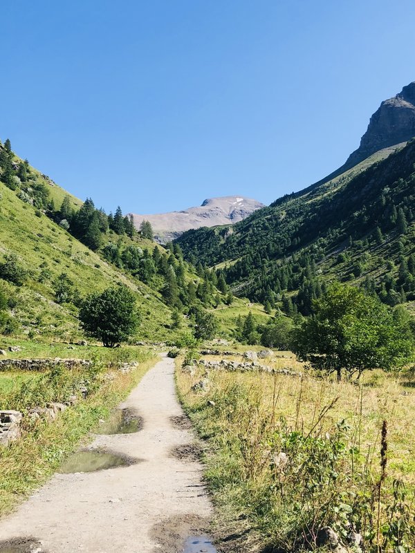 Quel est l'impact des matières naturelles sur le confort et le style des tenues d'été?