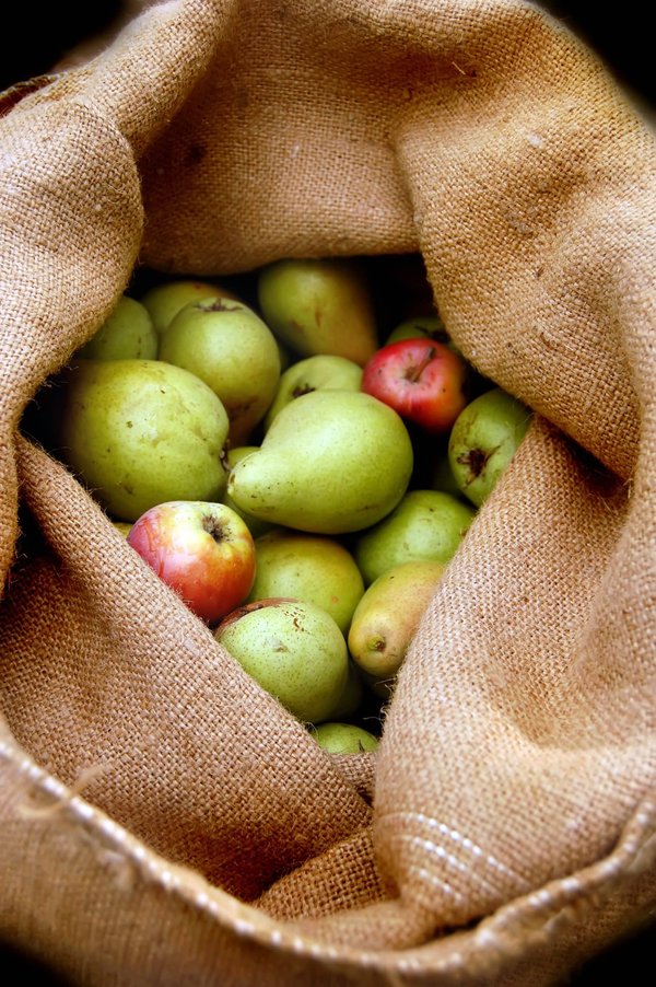 Comment préparer des collations post-entraînement sans sucre ajouté pour accélérer la récupération musculaire ?